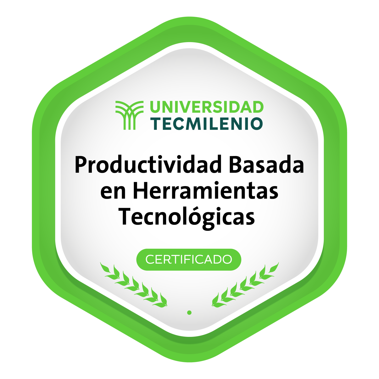 Java Certification TecMilenio